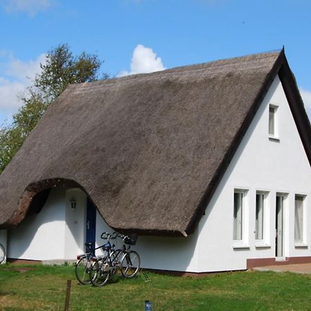 Doppelhaushaelfte In Vitte Auf Hiddensee Luaran gambar