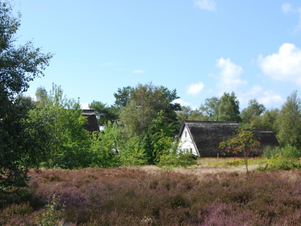 Doppelhaushaelfte In Vitte Auf Hiddensee Luaran gambar