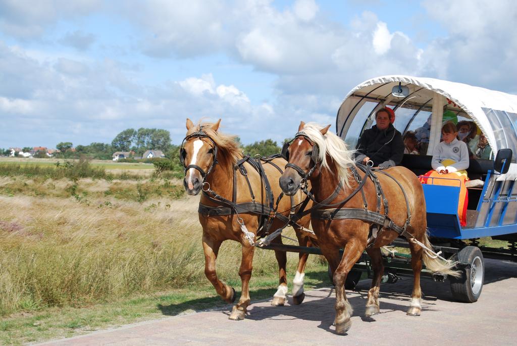 Doppelhaushaelfte In Vitte Auf Hiddensee Luaran gambar
